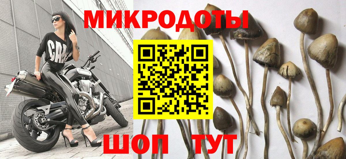 Кимры  как найти закладки  Вход с VPN  Псилоцибиновые грибы мицелий  Псилоцибиновые грибы GOLDEN TEACHER 