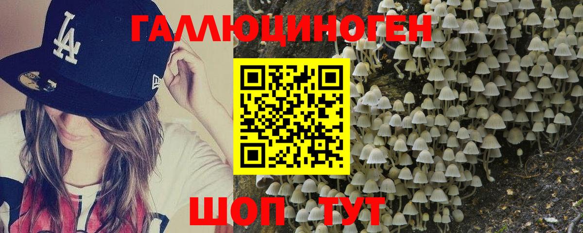 Псилоцибиновые грибы MAGIC MUSHROOMS Кимры